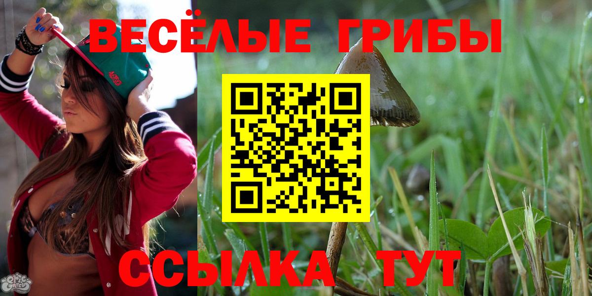 Псилоцибиновые грибы мицелий Нижнеудинск