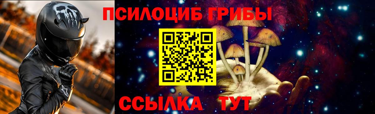 Галлюциногенные грибы MAGIC MUSHROOMS  Вход с VPN  где можно купить   Нижнеудинск 